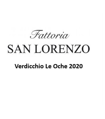 Verdicchio Le Oche - San Lorenzo