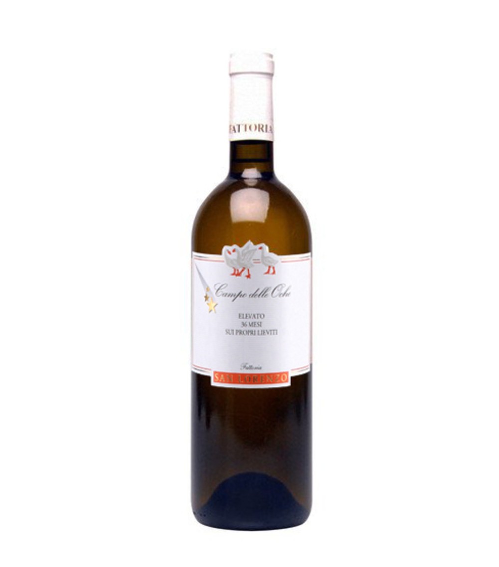 Verdicchio DOC Campo alle Oche - Fattoria San Lorenzo