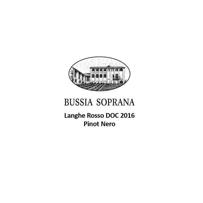 Langhe Rosso DOC 2016 Pinot Nero Bussia Soprana