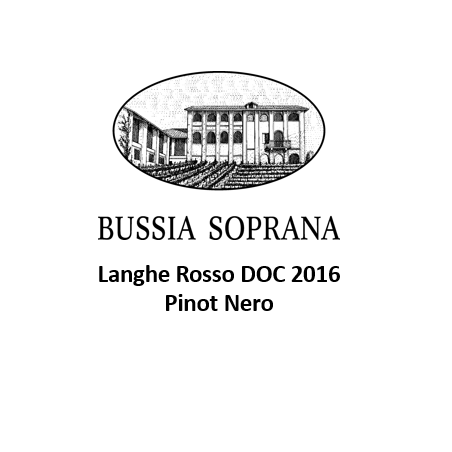 Langhe Rosso DOC 2016 Pinot Nero Bussia Soprana