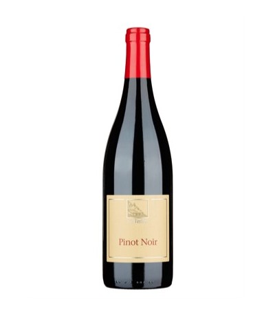 pinot-nero-doc-terlano