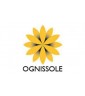 Ognissole