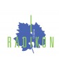 Radikon