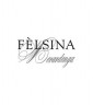 Felsina