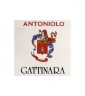 Antoniolo Gattinara